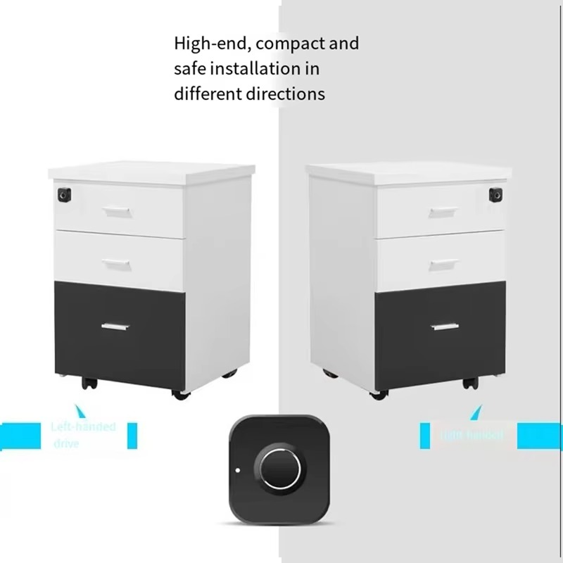 AB09-Smart Fingerprint Cabinet Lock-Keyless Black Biometric Lock For Anti-Theft Security,Suitable For Doors,Drawers,Wardrobes