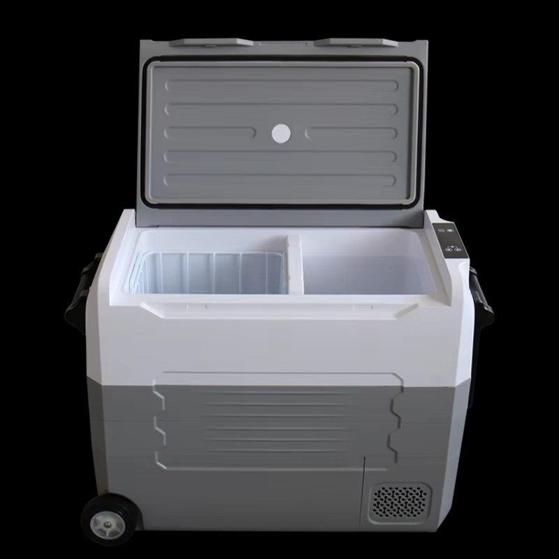 35L/45L/55L Car Refrigerator Mini Fridge Small Freezer 12V Compressor Portable Cooler 220V 12v Car Mini Portable Refrigerator