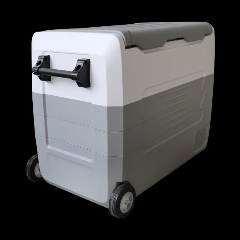 35L/45L/55L Car Refrigerator Mini Fridge Small Freezer 12V Compressor Portable Cooler 220V 12v Car Mini Portable Refrigerator
