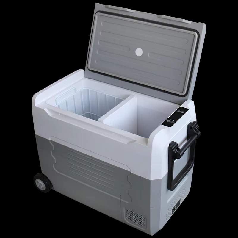 35L/45L/55L Car Refrigerator Mini Fridge Small Freezer 12V Compressor Portable Cooler 220V 12v Car Mini Portable Refrigerator