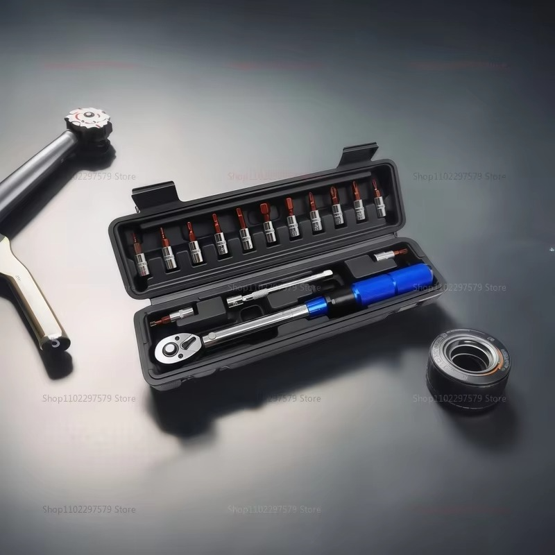 High Precision Torque Wrench Set 2-24Nm 1/4 Inch Dual Direction Ratchet Automotive Bike Machine Maintenance Repair Tool