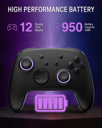 FUNLAB Firefly Luminous Pattern Wireless Pro Controller For Nintendo Switch 2/1 with 7 LED Colors/NS/Paddle/Turbo/Motion Control
