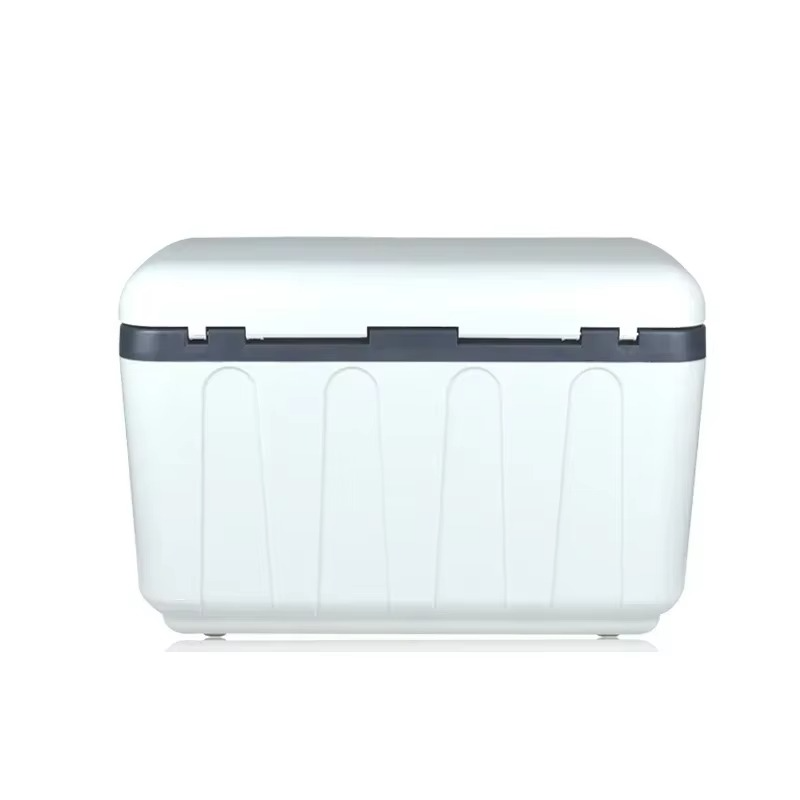 Desktop Electric 12V / 220V Mini Portable Refrigerator, Car Refrigerator, 2 Charging Methods And Portable Strap, Refrigerator