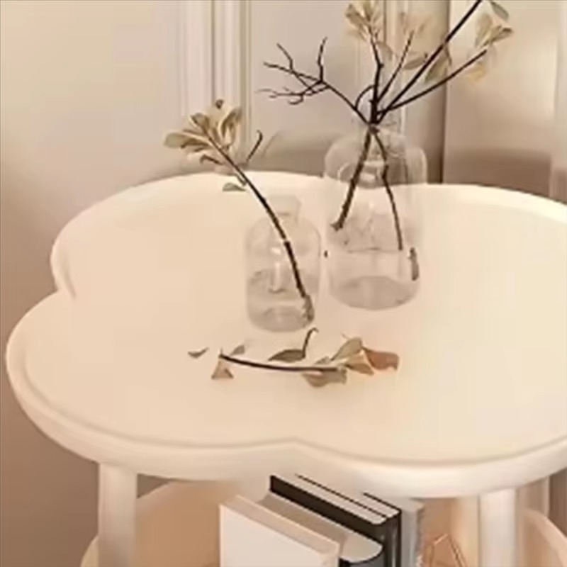 A27F-Sofa Side Several Bedroom Small Table Room Storage Table Balcony Double Layer Coffee Table