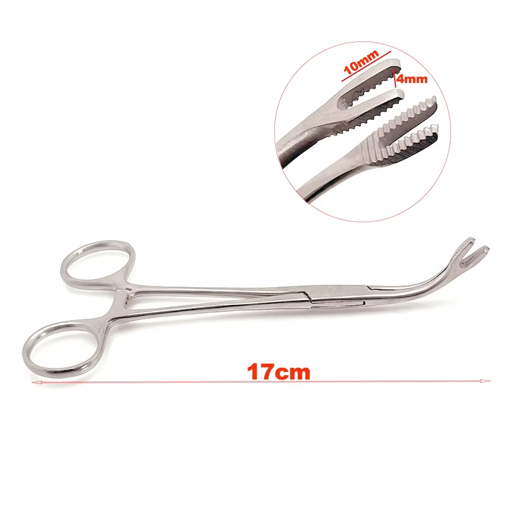 Bone Fragment Gripper Forceps for Dental Surgery Reusable Surgical Pliers for Bone Fixation Implant and Grafting Procedures