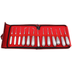 13Pcs Stainless Steel Dental Lift Minimally Invasive Tooth Extraction Straightening Curved Dental Lift Dentist Instruments Tool