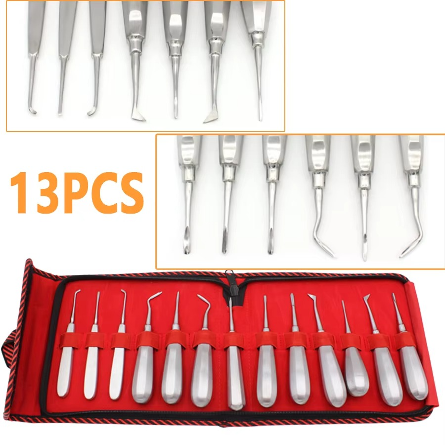 13Pcs Stainless Steel Dental Lift Minimally Invasive Tooth Extraction Straightening Curved Dental Lift Dentist Instruments Tool