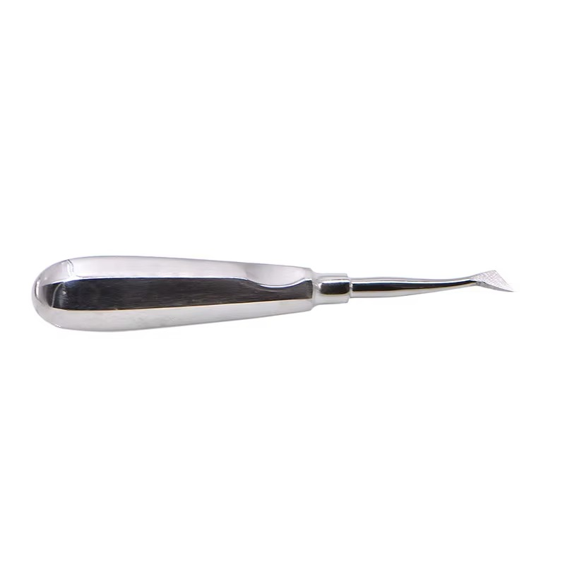 10pcs/box Dentistry Tooth Extracting Forceps Dental Elevator Stainless Steel Curved Root Lift Elevator Pliers Surgical Tool