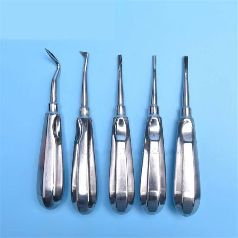 10pcs/box Dentistry Tooth Extracting Forceps Dental Elevator Stainless Steel Curved Root Lift Elevator Pliers Surgical Tool