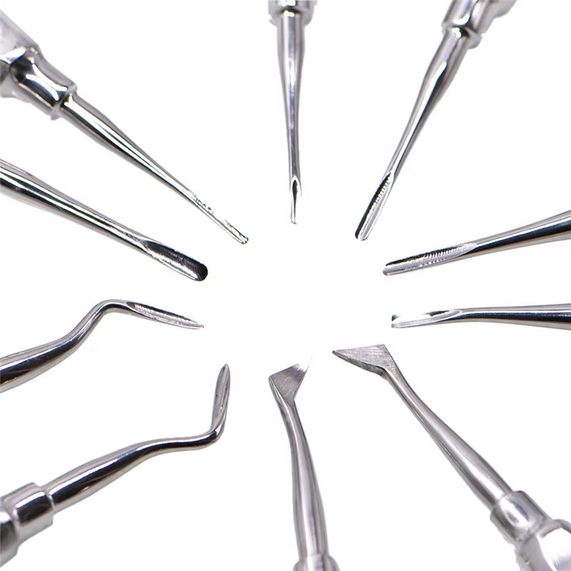 10pcs/box Dentistry Tooth Extracting Forceps Dental Elevator Stainless Steel Curved Root Lift Elevator Pliers Surgical Tool