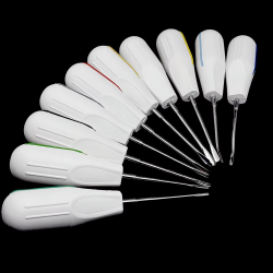 10pcs/set Dental Root Fragment Luxating Elevators Tooth Extraction Dental with Plastic Handle with Plastic Handle