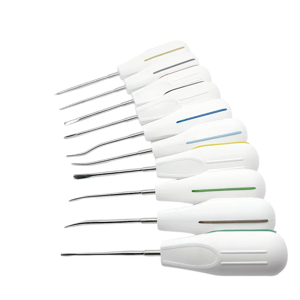 10pcs/set Dental Root Fragment Luxating Elevators Tooth Extraction Dental with Plastic Handle with Plastic Handle