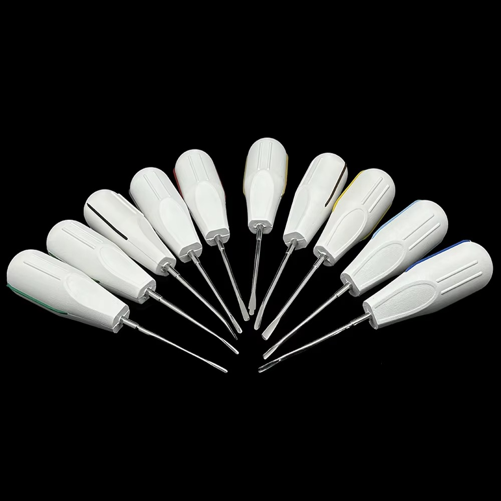 10pcs/set Dental Root Fragment Luxating Elevators Tooth Extraction Dental with Plastic Handle with Plastic Handle