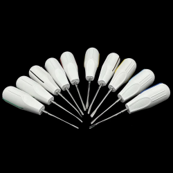 10pcs/set Dental Root Fragment Luxating Elevators Tooth Extraction Dental with Plastic Handle with Plastic Handle