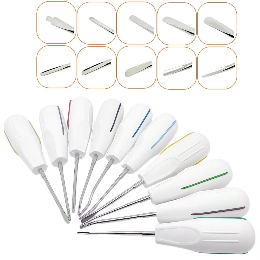 10pcs/set Dental Root Fragment Luxating Elevators Tooth Extraction Dental with Plastic Handle with Plastic Handle