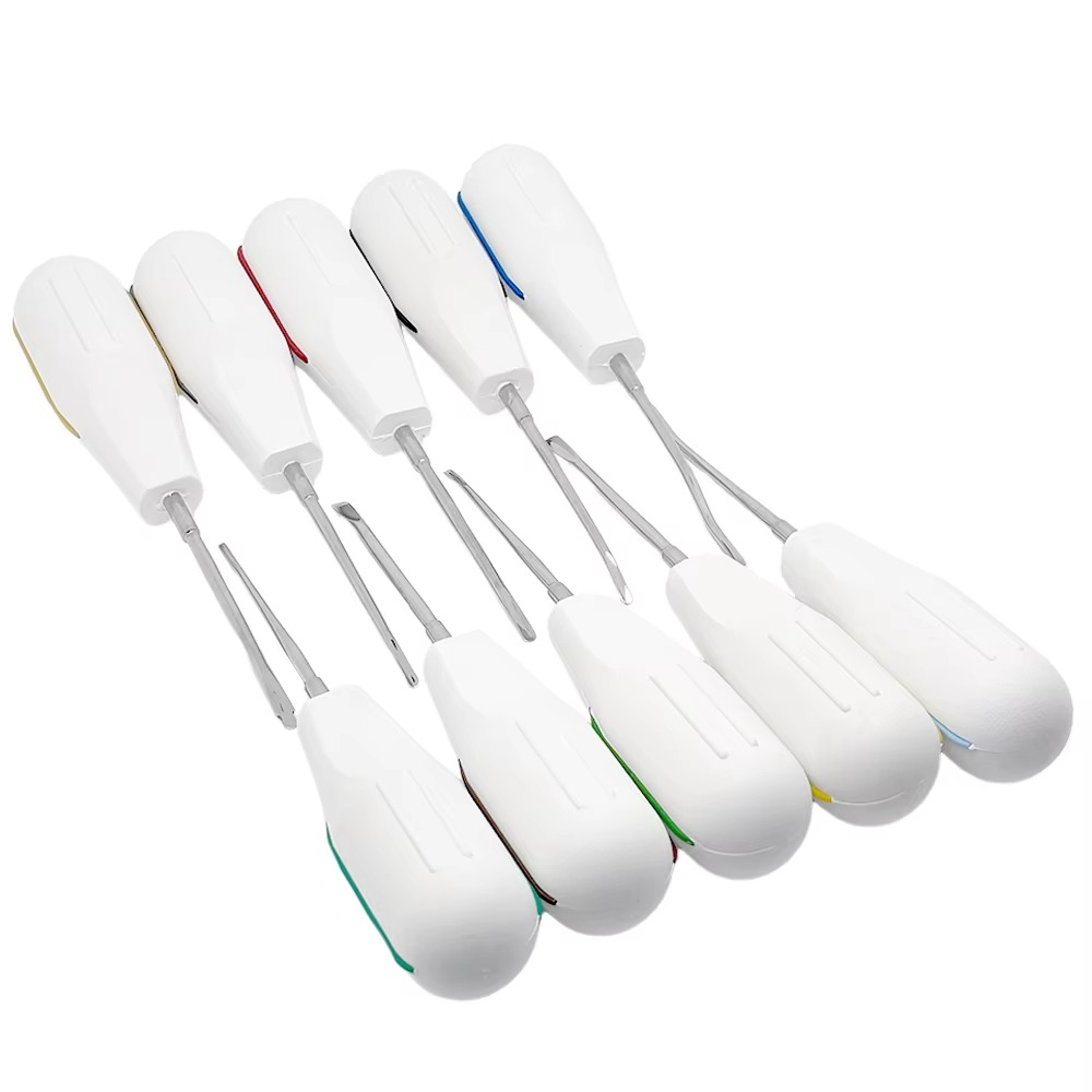 10pcs/set Dental Root Fragment Luxating Elevators Tooth Extraction Dental with Plastic Handle with Plastic Handle