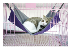 Waterproof Oxford Cloth Hat Hammock`