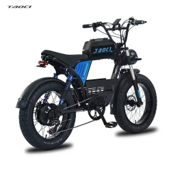 New Mountain Snow Electric Bicycle 1500W motor 18AH lithium battery commuter City E-Bike 50KM/H Power-Assisted Electric Bike