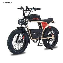 New Mountain Snow Electric Bicycle 1500W motor 18AH lithium battery commuter City E-Bike 50KM/H Power-Assisted Electric Bike