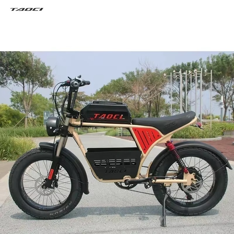 New Mountain Snow Electric Bicycle 1500W motor 18AH lithium battery commuter City E-Bike 50KM/H Power-Assisted Electric Bike