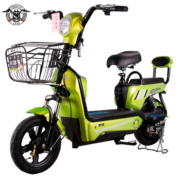 Electric Bike 350w