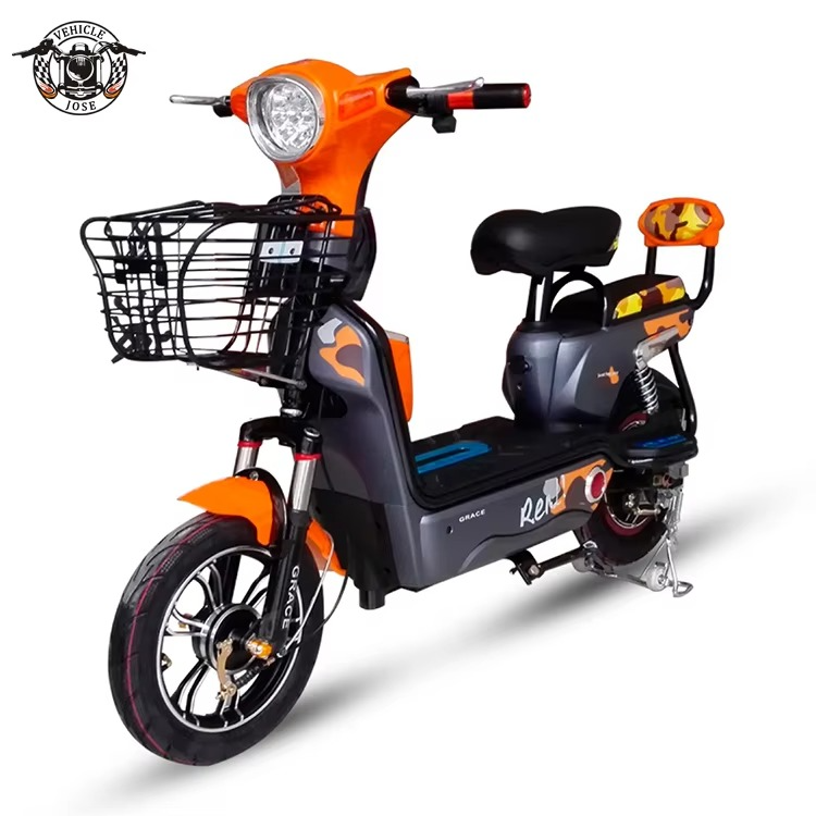 Electric Bike 350w