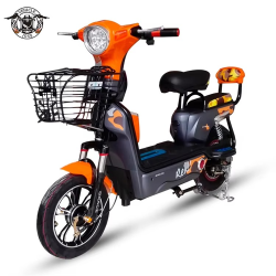 Electric Bike 350w