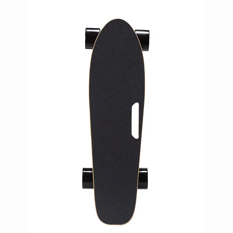 Offroad Electric SkateBoard 3000W Dual belt Drive motor powered skateboards All Terrain Longboard bamboo at electric skateboard