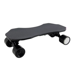 Adult electric skateboard for sales