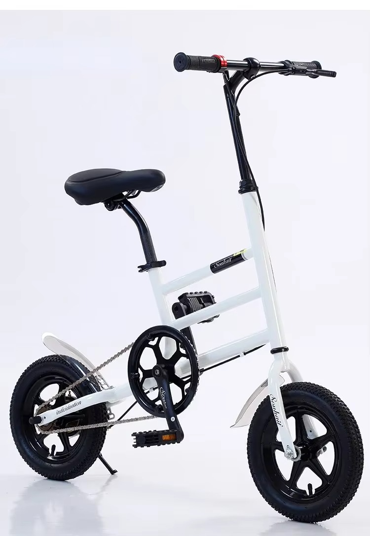 Lightweight Folding Bike - Mini Commuter Bicycle for School & Travel, Portable Kids/Teens Bike