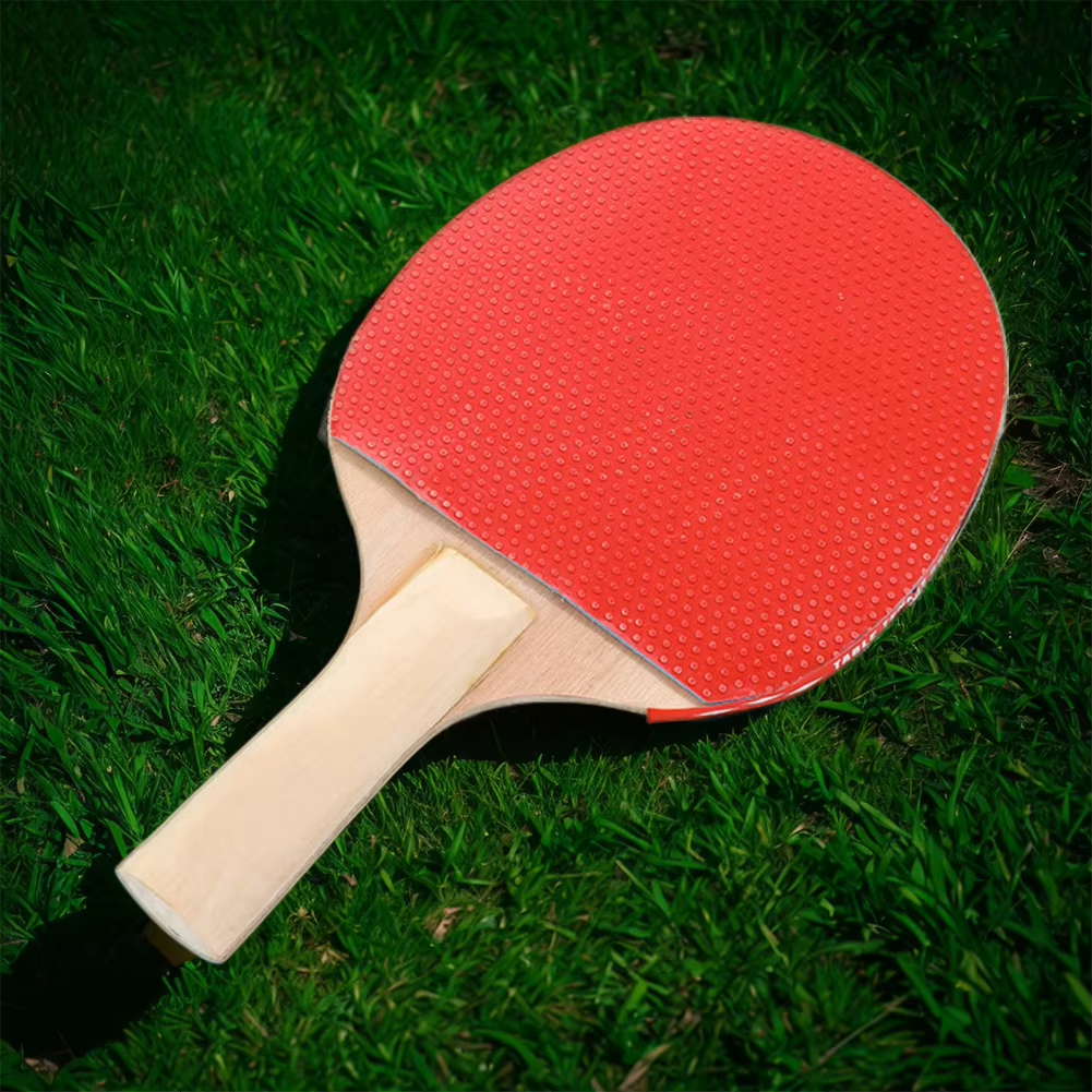 Ping Pong Paddle Set with Table Tennis Net and Post Set Table Tennis Rackets with Balls for Indoor/Outdoor Games