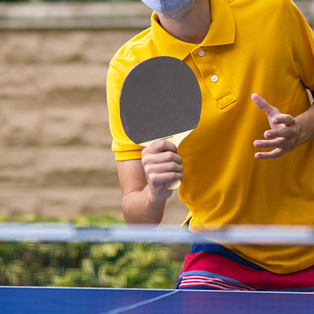 Ping Pong Paddle Set with Table Tennis Net and Post Set Table Tennis Rackets with Balls for Indoor/Outdoor Games