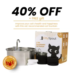 The KittySpout