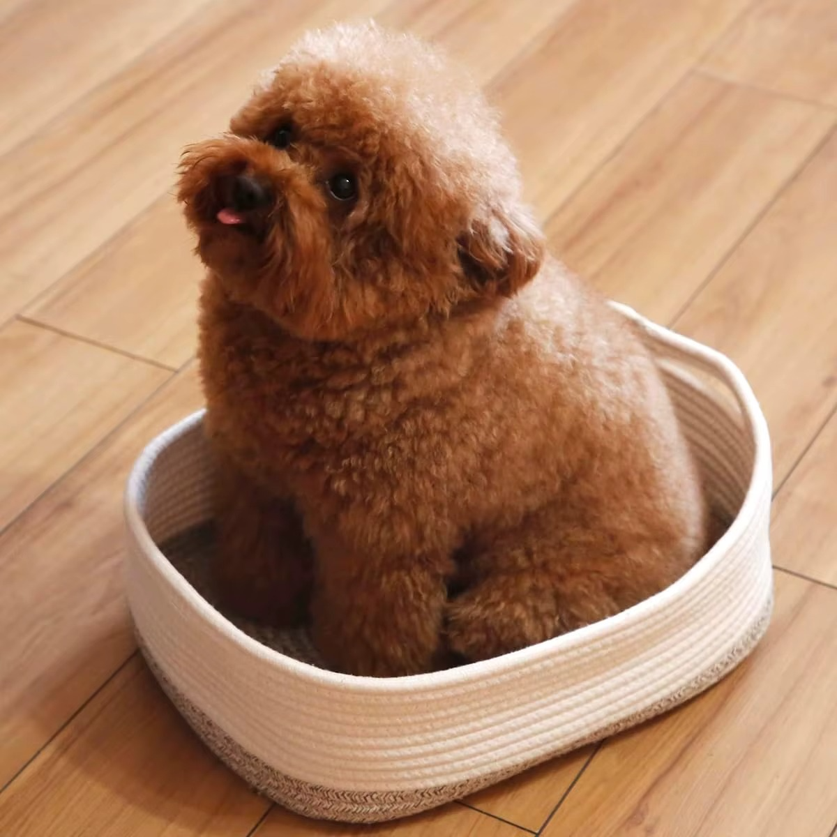 Rope Storage Baskets Woven Basket Cute Baby Nursery Organizers Small Dog Toy Basket Gift Baskets Empty