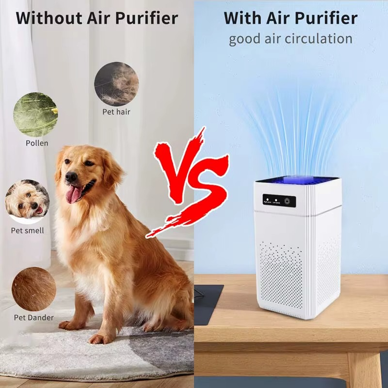 Professional home air purifier for removing formaldehyde odor and releasing negative ions, suitable for home and office use