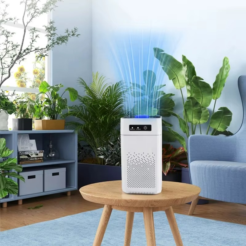 Professional home air purifier for removing formaldehyde odor and releasing negative ions, suitable for home and office use
