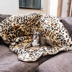 Dog Warm Pad - Premium Heated Pet Bed