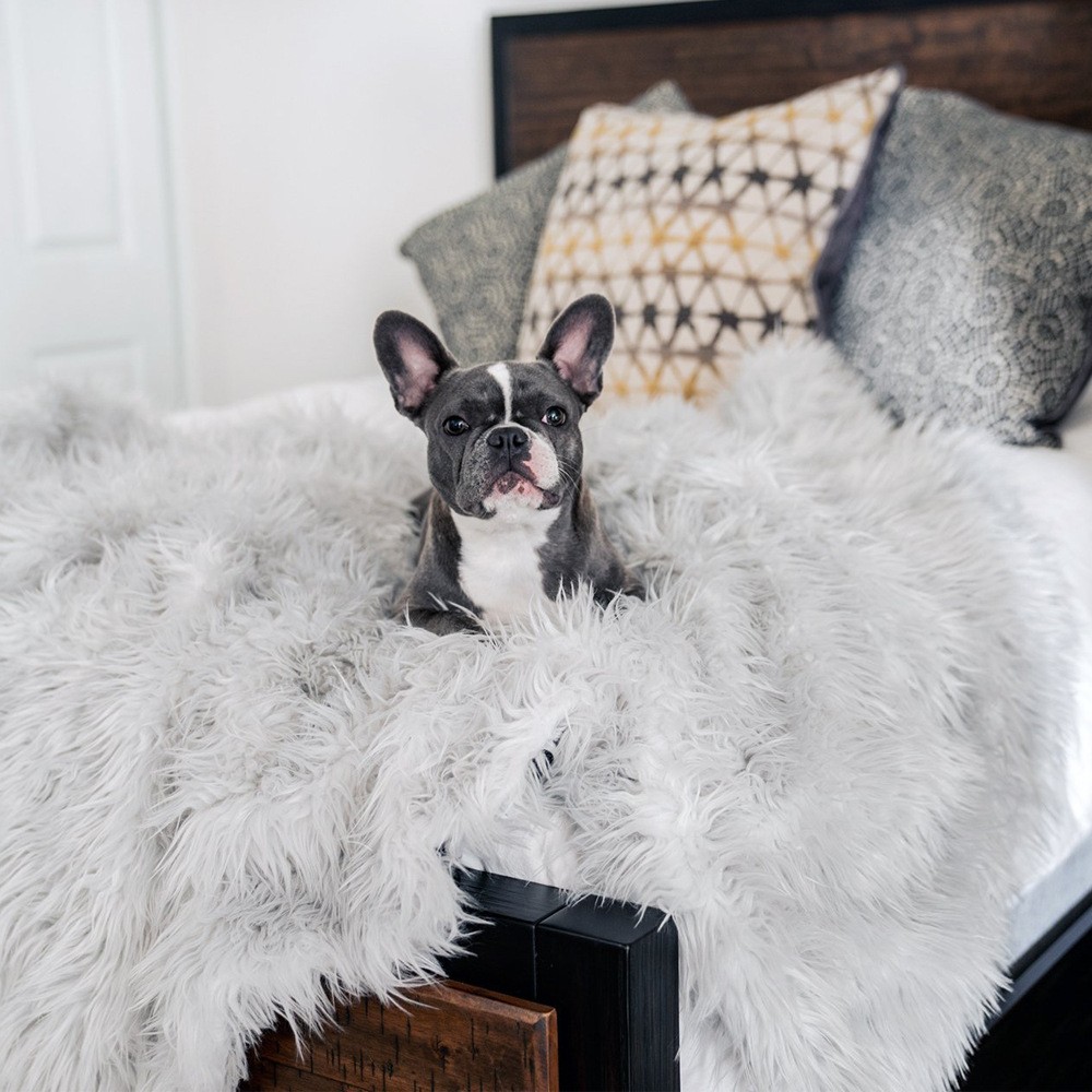 Dog Warm Pad - Premium Heated Pet Bed