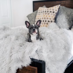 Dog Warm Pad - Premium Heated Pet Bed