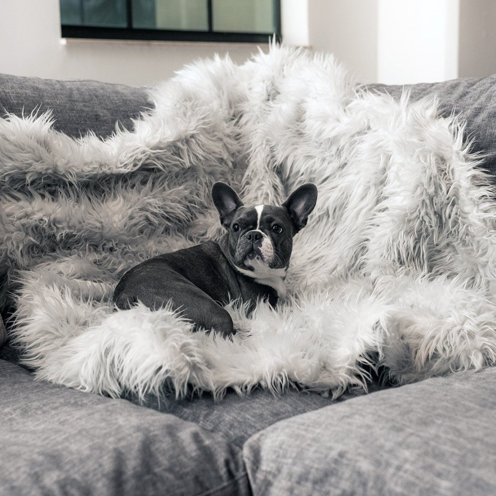 Dog Warm Pad - Premium Heated Pet Bed