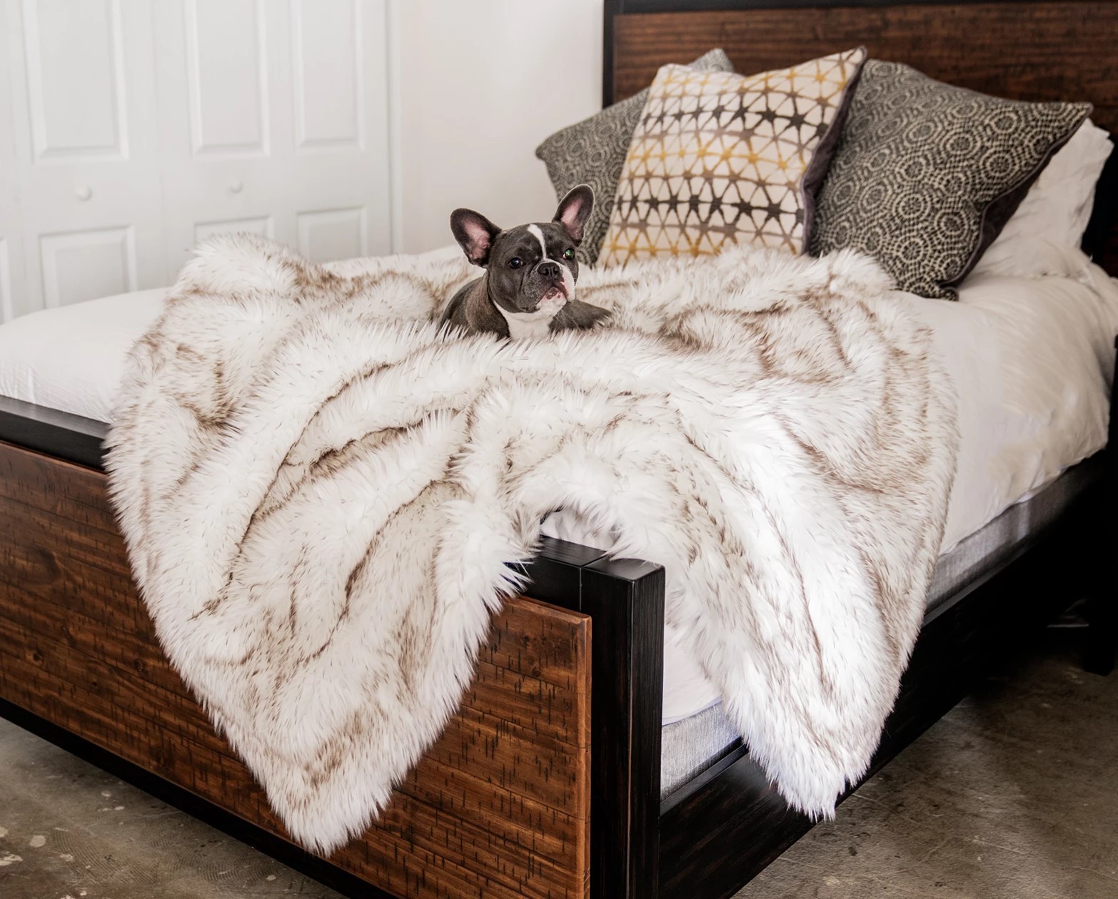 Dog Warm Pad - Premium Heated Pet Bed