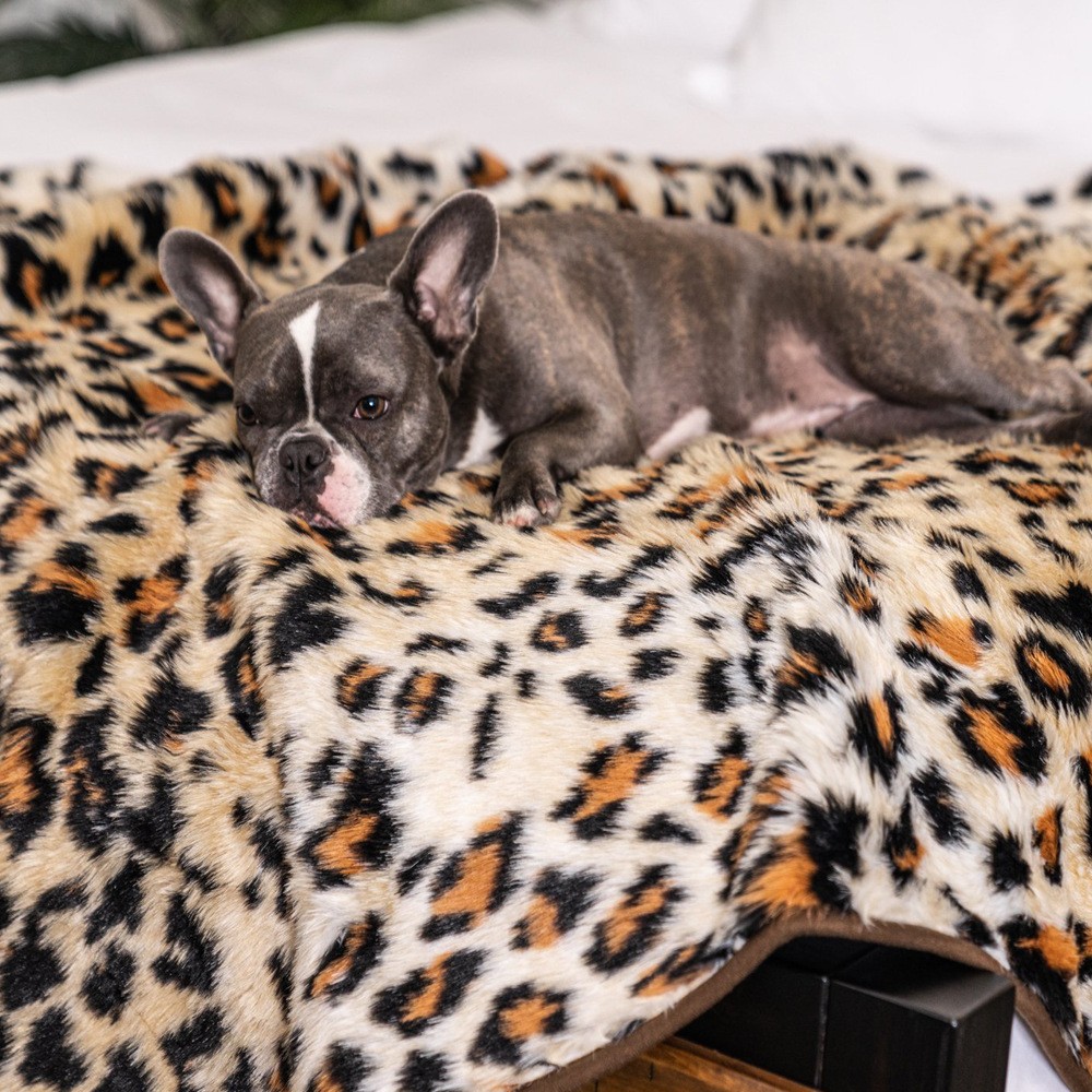 Dog Warm Pad - Premium Heated Pet Bed