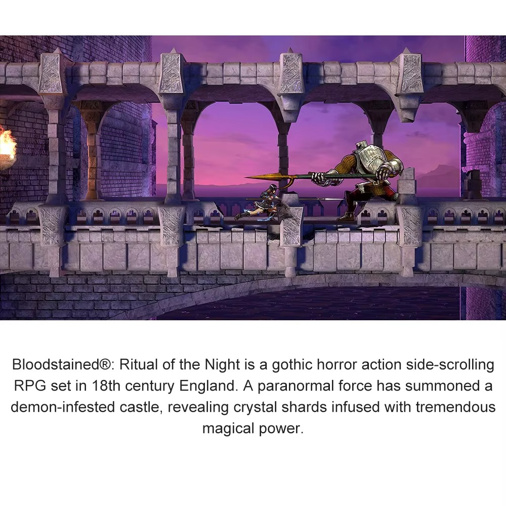 Bloodstained: Ritual of the Night Nintendo Switch Game Deals 100% New Original Physical Game Card for Nintendo Switch OLED Lite