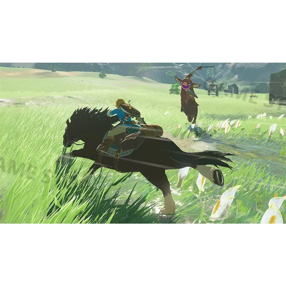 Nintendo Swtich - The Legend of Zelda Breath of the Wild - Game Deals Games Cartridge Physical Card