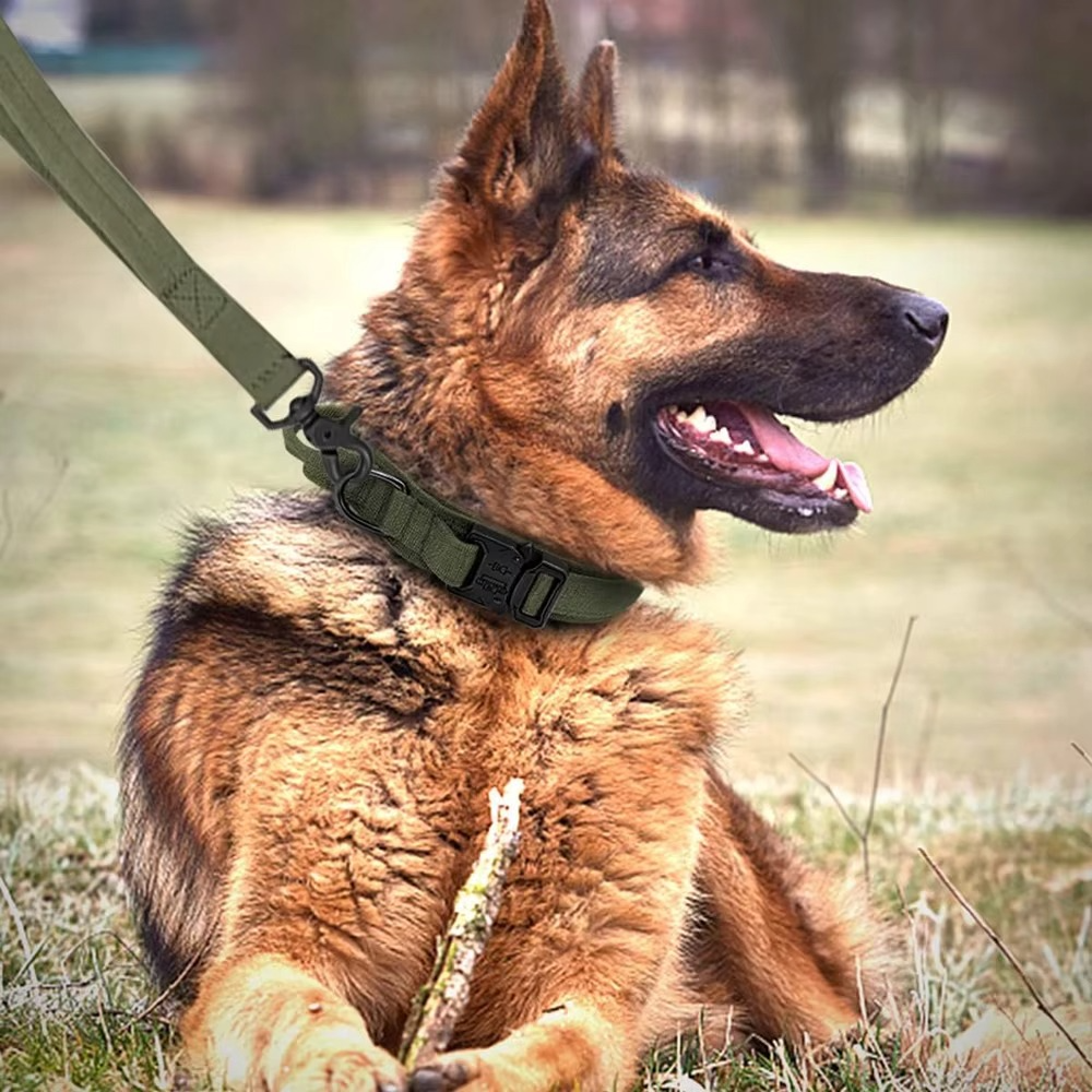 Dog Collar Durable Tactical Leash Set Adjustable Military Pet Collar Leash Medium Large Dog German Shepherd Training Accessories