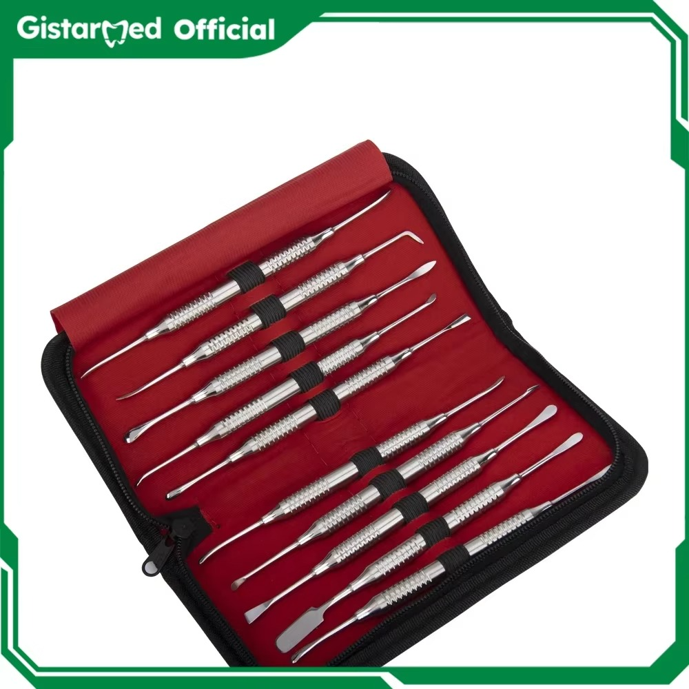 10pcs Dental Instrument Periosteal Separator Implant Membrane Stripper Gingival Exfoliation Scaler Dentist Surgery Tools